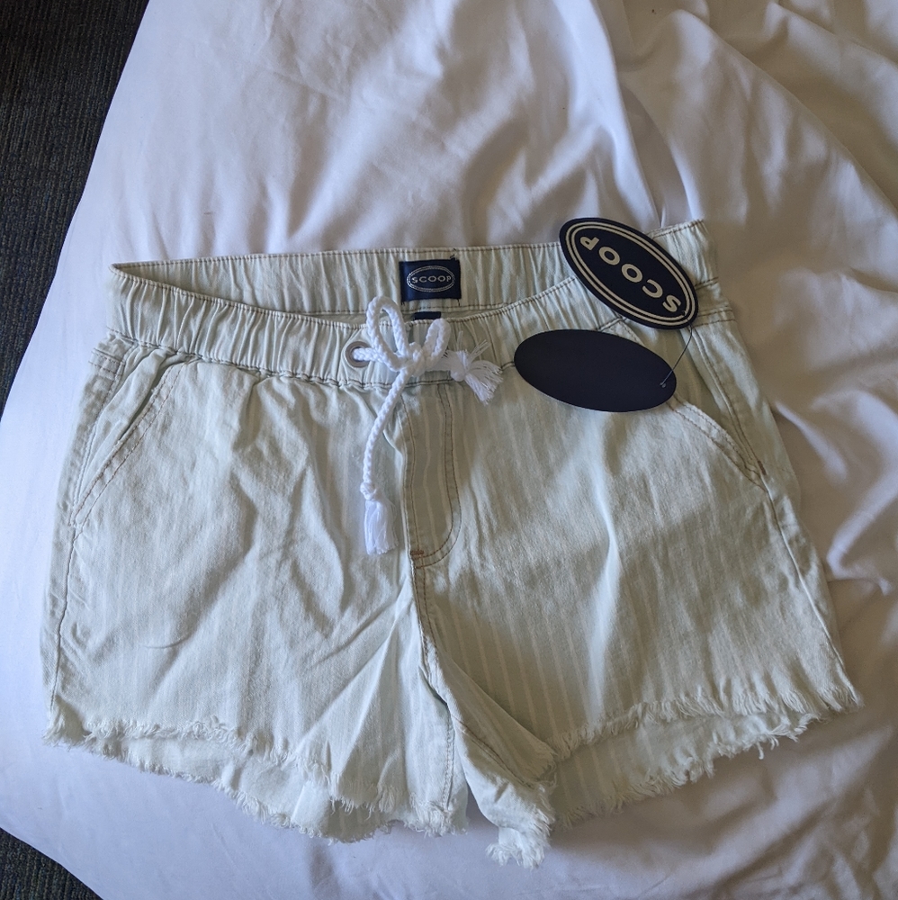 Summer Shorts